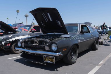 Ford Pinto ekranda