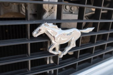 Ford Mustang amblemi ekranda