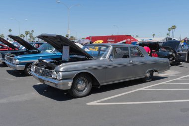 Ford Galaxie 500 ekranda