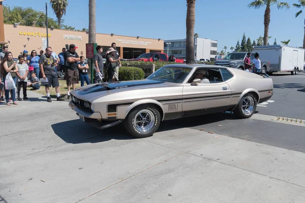 Ford Mustang Mach 1 on display — Stock Photo, Image