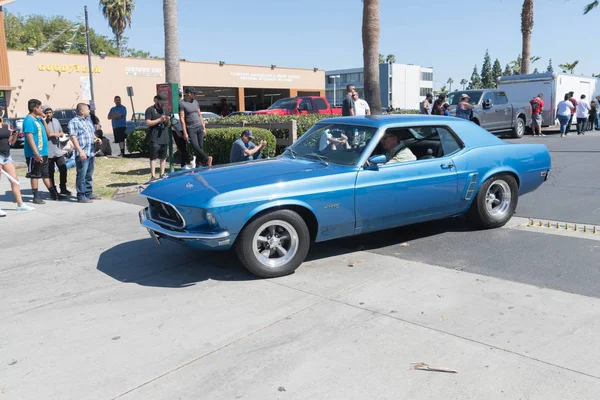 Ford Mustang exposé — Photo