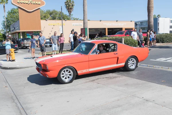 Ford Mustang GT 350 R на выставке — стоковое фото