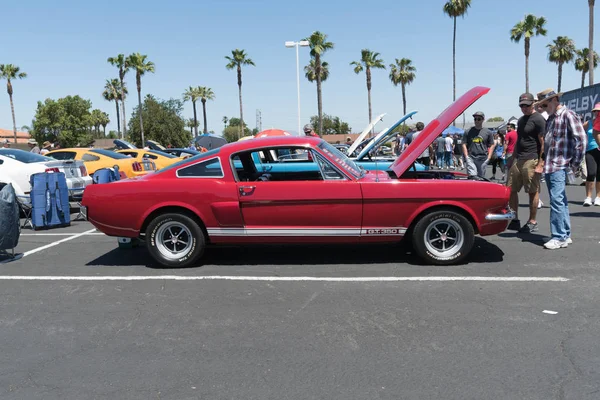 Ford Mustang Gt 350 tentoongesteld — Stockfoto