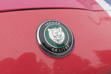 Jaguar amblemi ekranda