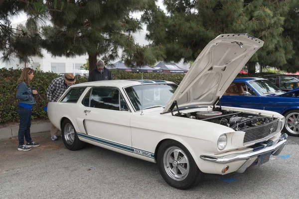 Ford Mustang Wagon Gt 350 tentoongesteld — Stockfoto