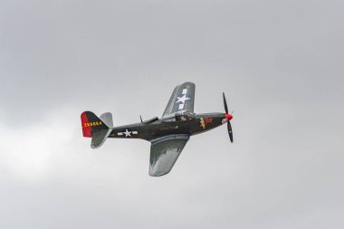 Bell P - 63c Kral Kobra - Pretty Polly ekranda