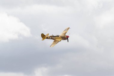 Curtiss P-40n Warhawk ekranda