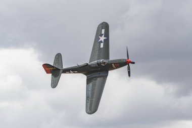 Bell P - 63c Kral Kobra - Pretty Polly ekranda