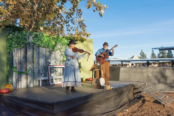 Musiker beim Tumbleweed-Festival — Stockfoto