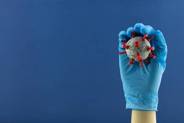 Wooden hand model wearing blue gloves and holding ball similar to coronavirus cells on display.