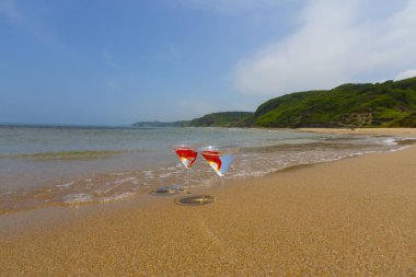 Akvaryumda balık ve cam var.