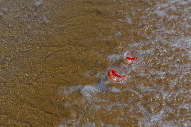 Akvaryumdaki balıklar ve deniz dalgaları.