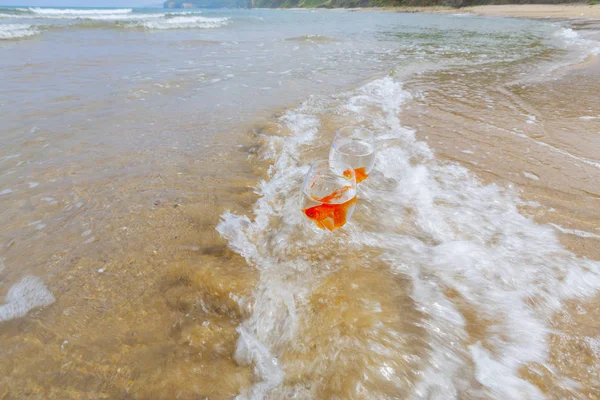 Poissons Aquarium Vagues Mer — Photo