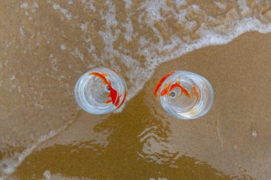 Akvaryumdaki balıklar ve deniz dalgaları.