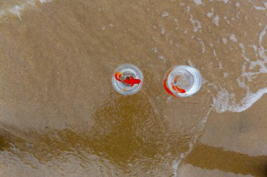 Akvaryumdaki balıklar ve deniz dalgaları.