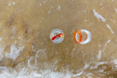 Akvaryumdaki balıklar ve deniz dalgaları.