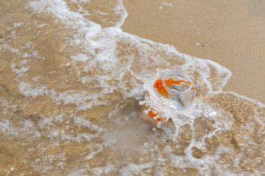 Akvaryumdaki balıklar ve deniz dalgaları.