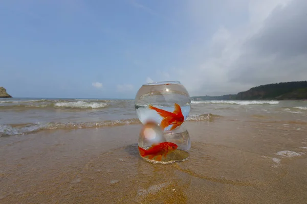 Poissons Aquarium Vagues Mer — Photo