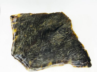 Kaplumbağa kabuğu, ezilmiş. beyaz arkaplan.