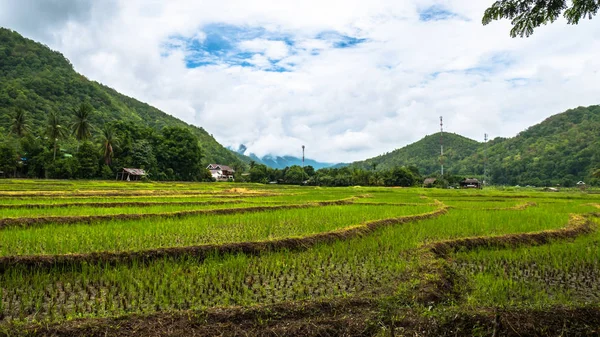 Nubes sobre la terraza del campo de arroz — Foto de Stock