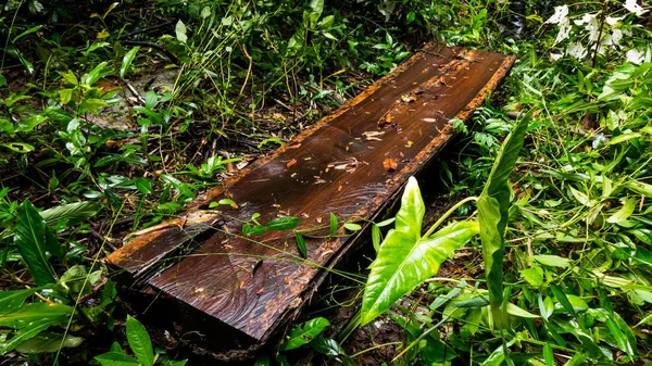 Gül ağacı kurulu sanayi arka plan