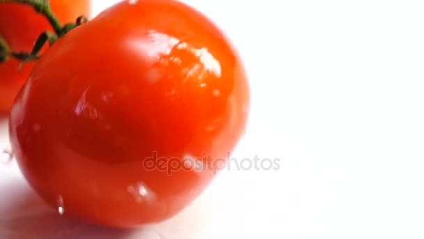 Tomate Espirrando Câmera Lenta — Vídeo de Stock