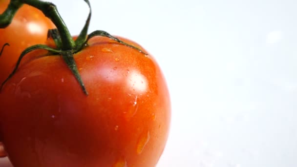 Salpicaduras Tomate Cámara Lenta — Vídeos de Stock