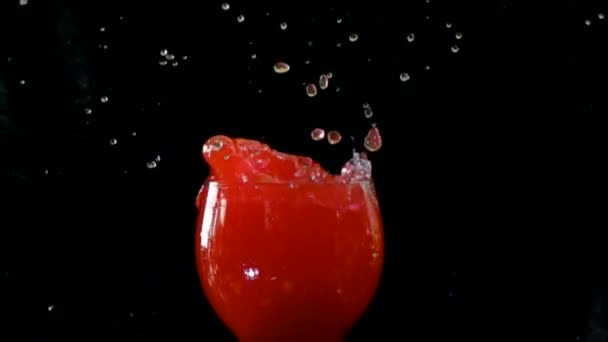 Pomidor Rozpryskiwania Zwolnionym Tempie — Wideo stockowe