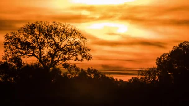 Tijd Verstrijken Van Zonsopgang — Stockvideo