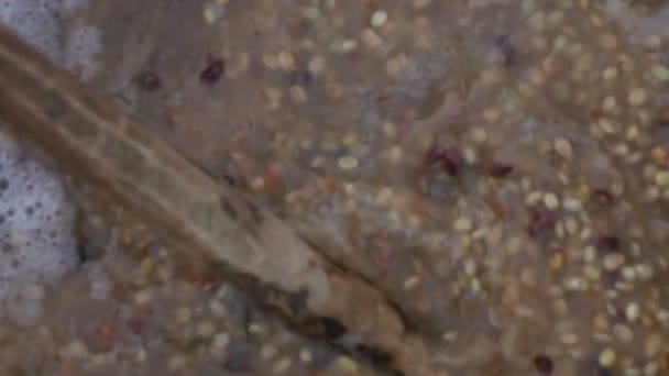 Ферментація Кавових Зерен Повільному Русі — стокове відео
