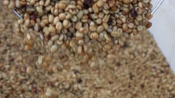 慢动作发酵咖啡豆 — 图库视频影像