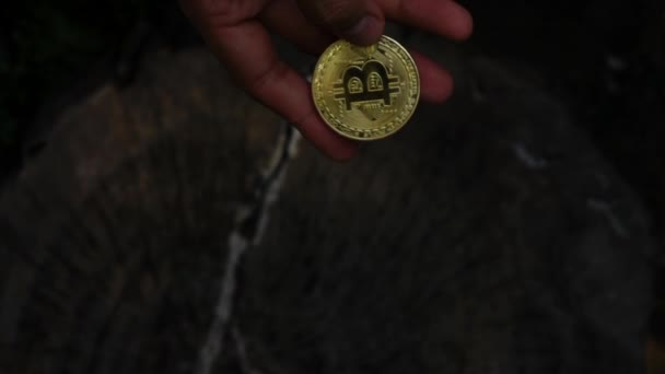 Ręka Trzyma Bitcoin Monet Zwolnionym Tempie — Wideo stockowe