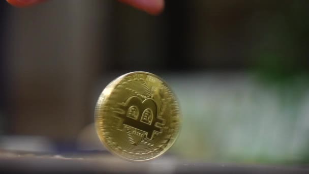 Moeda Bitcoin Ouro Girando Câmera Lenta — Vídeo de Stock