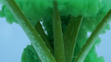 Yeşil mürekkep suda aloe vera 'ya düşer.