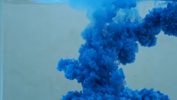 Блакитне Чорнило Падає Воду — стокове відео