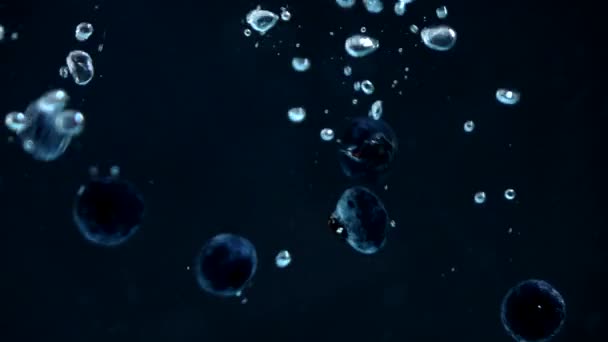 蓝莓水在黑色背景下缓慢流动 — 图库视频影像
