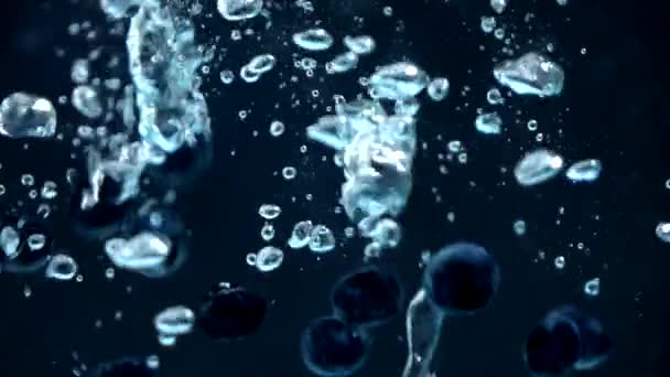 ブラックを背景に水の遅い動きに注ぐブルーベリー — ストック動画
