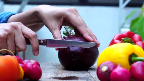 Hautnah Hand Koch Schneidet Rübenwurzel — Stockvideo