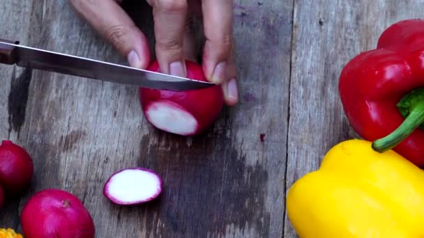 Close Mão Chef Corte Rabanete Vermelho — Vídeo de Stock