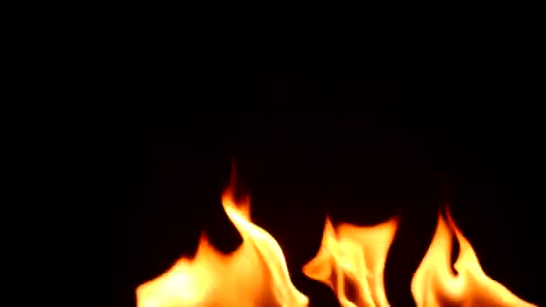 Slow Motion Fire Burning Black Background — Stock Video