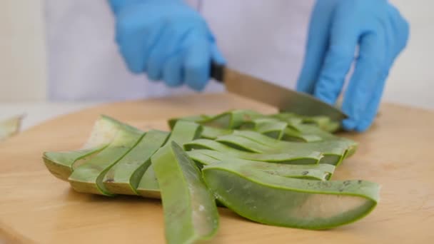 Närbild Hand Peeling Aloe Vera Löv — Stockvideo