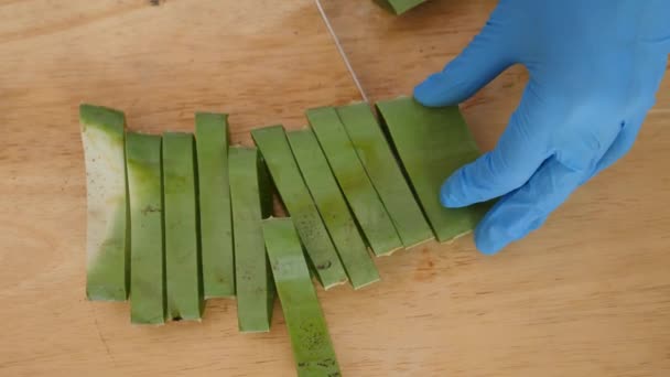 Close Hand Peeling Aloe Vera Blatt — Stockvideo