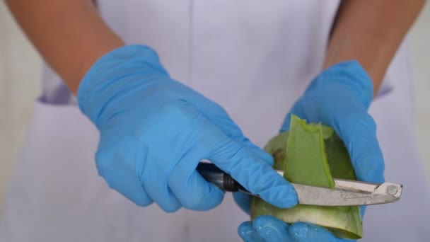 Close Hand Peeling Aloe Vera Leaf — Stock Video