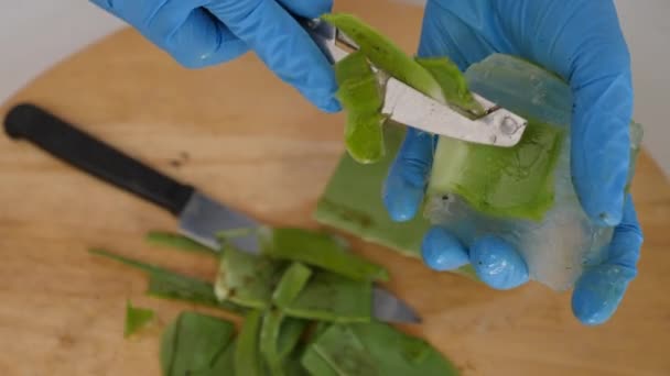 Närbild Hand Peeling Aloe Vera Löv — Stockvideo