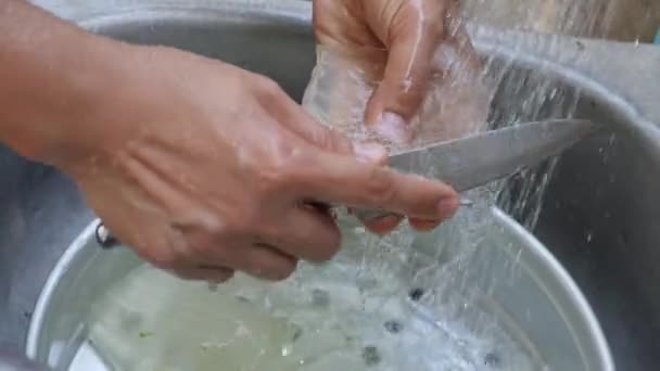 Närbild Hand Tvätta Aloe Vera Slow Motion — Stockvideo