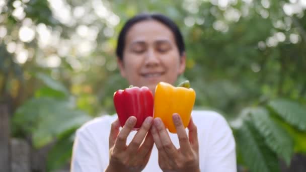 Slow Motion Asia Women Holding Vegetable — Stock Video