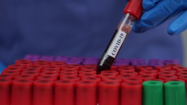 Investigador Que Contiene Sangre Tubo Ensayo Para Comprobar Covid Laboratorio — Vídeo de stock