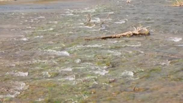 Paysage Rivière Dans Nature Thaïlande — Video