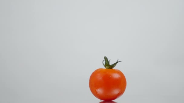 Red Tomatoes Turning Slow Motion White Background — Stock Video