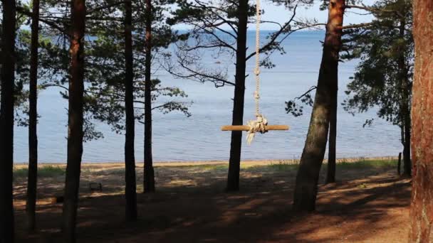 Baloiços de corda no fundo da floresta e do mar — Vídeo de Stock